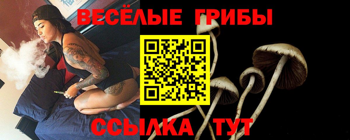 Шали  Галлюциногенные грибы GOLDEN TEACHER  наркошоп  Вход с VPN 
